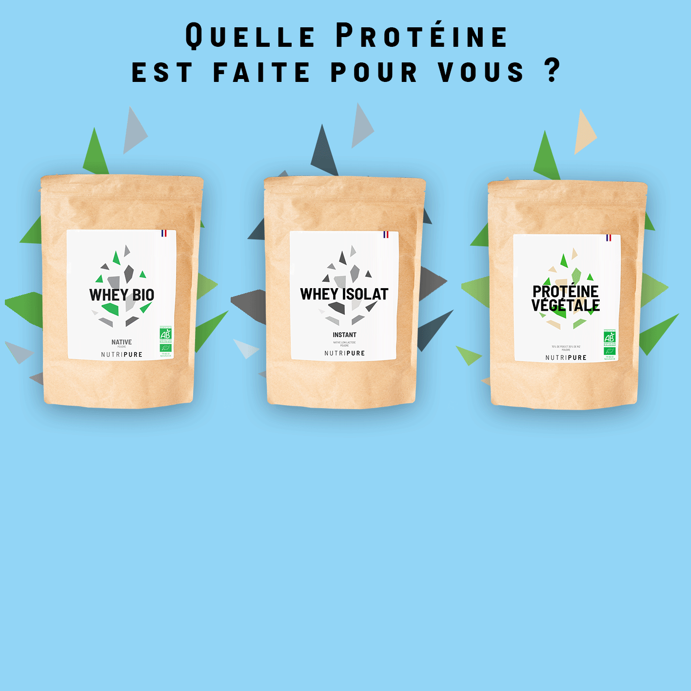 quelle protéines choisir 